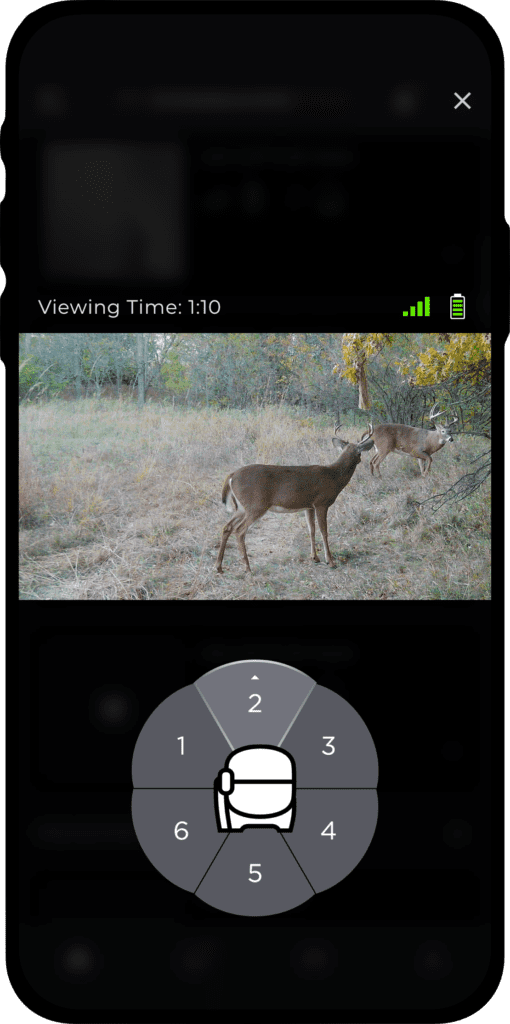 Command Liveview.png