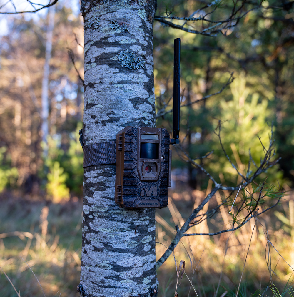 Mitigator 2.0 Battery/SD Combo - 2 Pack | Muddy Outdoors