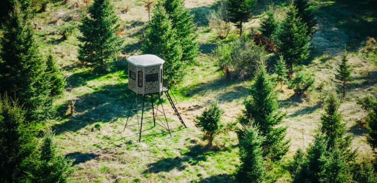 Why Now Is The Right Time To Set Up A Box Blind