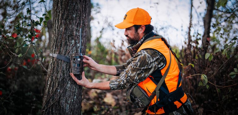 Build A Smarter Summer Scouting Plan With Cellular Trail Cameras