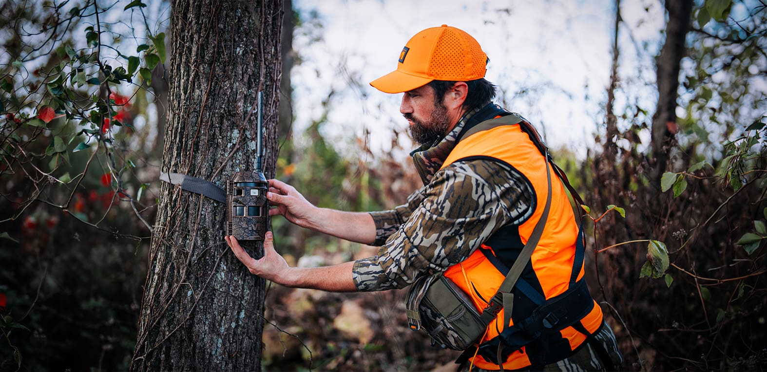 Build A Smarter Summer Scouting Plan With Cellular Trail Cameras