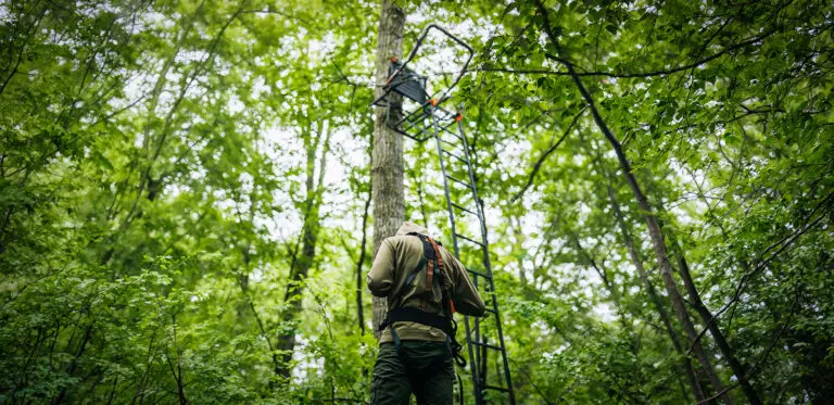 Tree Stand Placement Strategies: Where To Hang For Maximum Deer Encounters