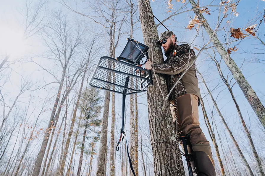 Tree Stand Placement Strategies: Where To Hang For Maximum Deer Encounters