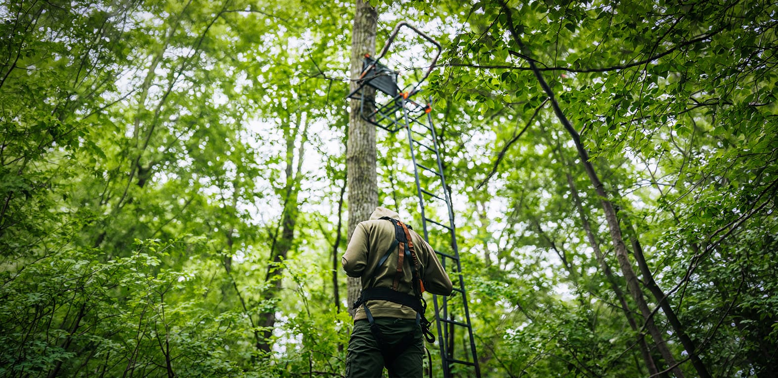 Tree Stand Placement Strategies: Where To Hang For Maximum Deer Encounters